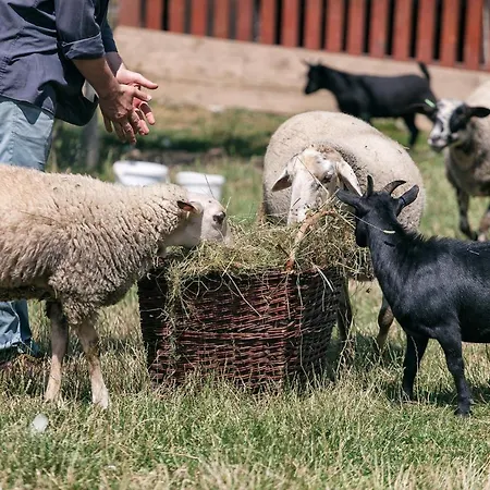 Prazdninovy Dom Eliska***